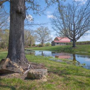 Pond with dock