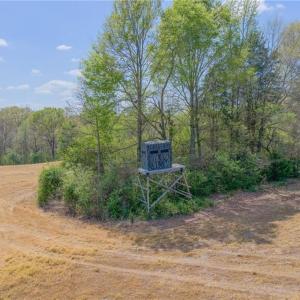 Deer, turkey, and wildlife roam the property