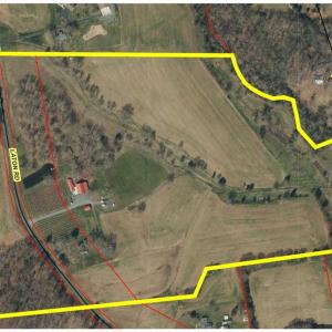 54.04 acres (2 parcels)
