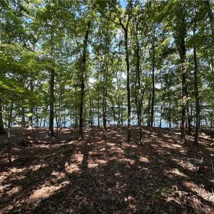 Photo #6 of 1768 Rocky Cove, Denton, NC 3.0 acres