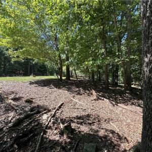 Photo #5 of 1768 Rocky Cove, Denton, NC 3.0 acres