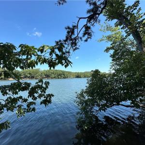 Photo #4 of 1768 Rocky Cove, Denton, NC 3.0 acres