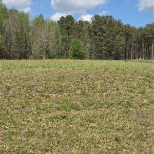 Photo #2 of 8342 Harrell, Oak Ridge, NC 0.7 acres