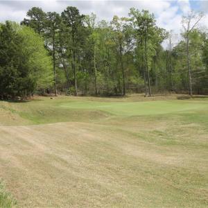 8th Green just across the street
