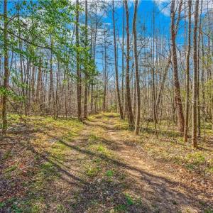 Photo #2 of Farm, Pilot Mountain, NC 33.1 acres