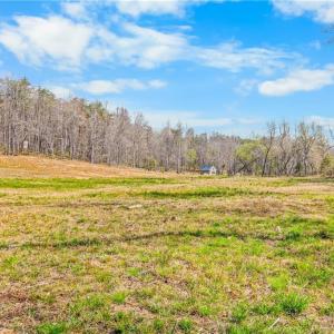 2.5 acre field behind cabin