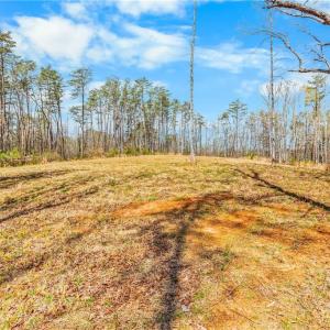 1 acre field at highest part of property. It has long range views of mountains.