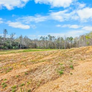 2.5 acre field behind cabin