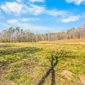 2.5 acre field behind cabin