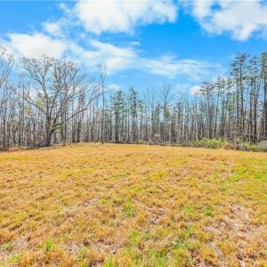 1 acre field at highest part of property. It has long range views of mountains.