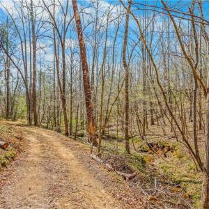 Photo #15 of Farm, Pilot Mountain, NC 33.1 acres