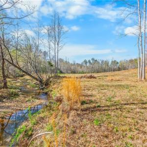 2.5 acre field behind cabin