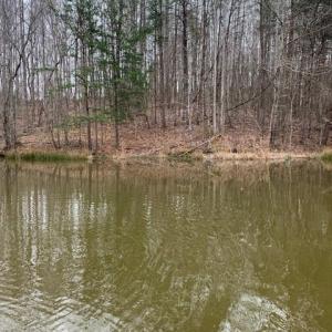 Photo #1 of 686 Bennett, Stoneville, NC 43.9 acres