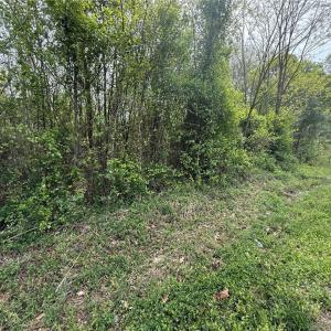 Photo #1 of 9184 County Line, Kernersville, NC 3.9 acres