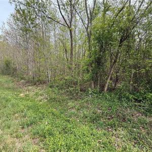 Photo #4 of 9184 County Line, Kernersville, NC 3.9 acres