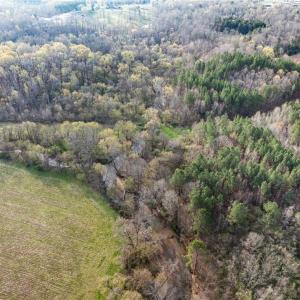 Photo #7 of NC Highway 109, High Point, NC 22.9 acres