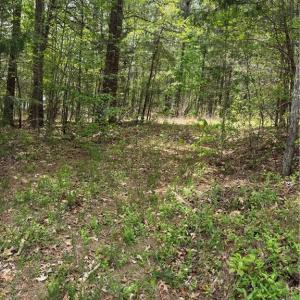 Photo #2 of Clyde King, Seagrove, NC 24.4 acres