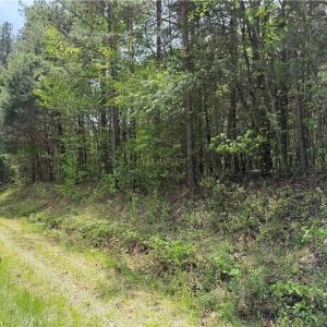 Photo #1 of Clyde King, Seagrove, NC 24.4 acres