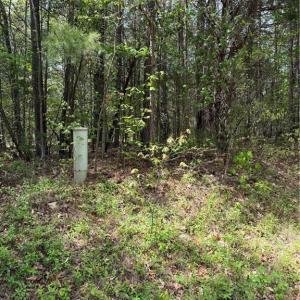 Photo #6 of Clyde King, Seagrove, NC 24.4 acres