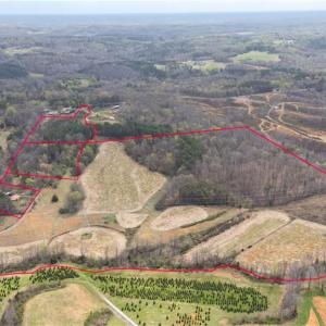 Photo #3 of 6988 Salem Chapel, Walnut Cove, NC 62.6 acres