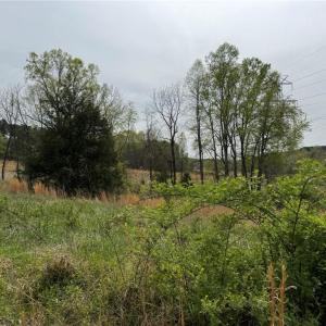 Photo #23 of 6988 Salem Chapel, Walnut Cove, NC 62.6 acres