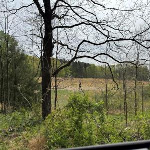 Photo #27 of 6988 Salem Chapel, Walnut Cove, NC 62.6 acres