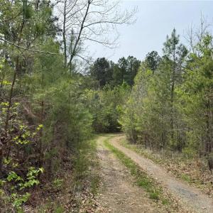 Photo #2 of 6988 Salem Chapel, Walnut Cove, NC 62.6 acres