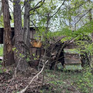 Photo #6 of 6988 Salem Chapel, Walnut Cove, NC 62.6 acres