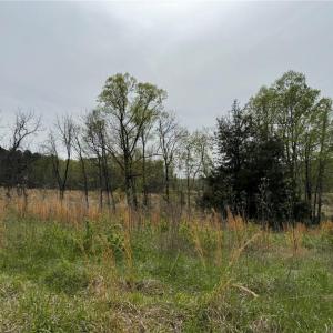Photo #16 of 6988 Salem Chapel, Walnut Cove, NC 62.6 acres