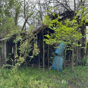 Photo #12 of 6988 Salem Chapel, Walnut Cove, NC 62.6 acres