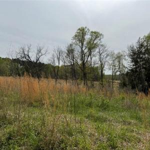 Photo #26 of 6988 Salem Chapel, Walnut Cove, NC 62.6 acres