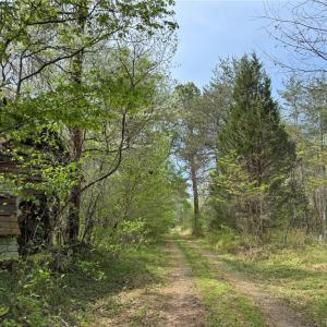 Photo #7 of 6988 Salem Chapel, Walnut Cove, NC 62.6 acres