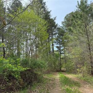 Photo #3 of 6988 Salem Chapel, Walnut Cove, NC 62.6 acres