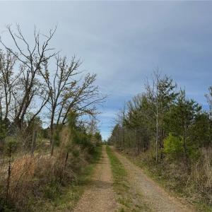 Photo #1 of 6988 Salem Chapel, Walnut Cove, NC 62.6 acres