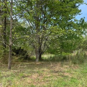Photo #5 of 6988 Salem Chapel, Walnut Cove, NC 62.6 acres