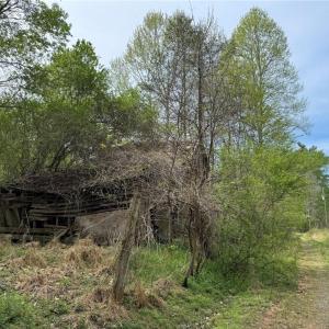 Photo #9 of 6988 Salem Chapel, Walnut Cove, NC 62.6 acres