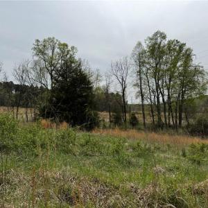 Photo #24 of 6988 Salem Chapel, Walnut Cove, NC 62.6 acres