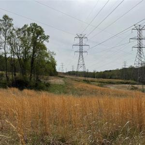 Photo #18 of 6988 Salem Chapel, Walnut Cove, NC 62.6 acres