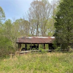 Photo #11 of 6988 Salem Chapel, Walnut Cove, NC 62.6 acres