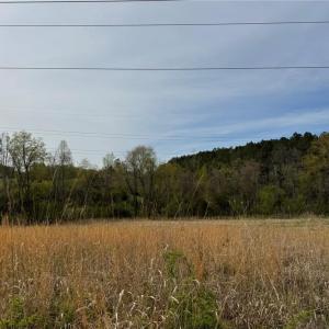 Photo #19 of 6988 Salem Chapel, Walnut Cove, NC 62.6 acres