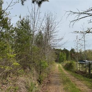 Photo #31 of 6988 Salem Chapel, Walnut Cove, NC 62.6 acres
