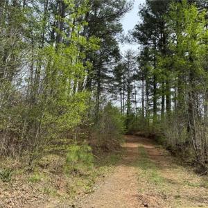 Photo #29 of 6988 Salem Chapel, Walnut Cove, NC 62.6 acres
