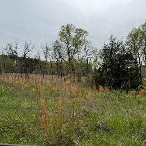 Photo #25 of 6988 Salem Chapel, Walnut Cove, NC 62.6 acres