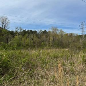 Photo #21 of 6988 Salem Chapel, Walnut Cove, NC 62.6 acres