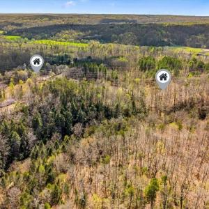 Photo #6 of Fisher, Pinnacle, NC 38.9 acres