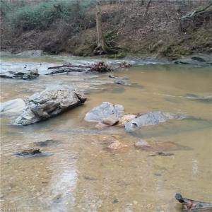 Photo #14 of Fisher, Pinnacle, NC 38.9 acres
