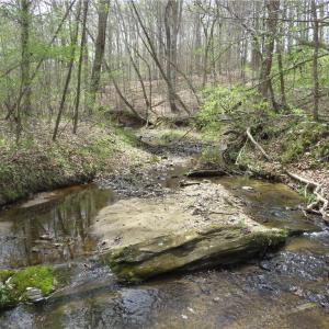 Photo #26 of Vernon, Reidsville, NC 230.0 acres