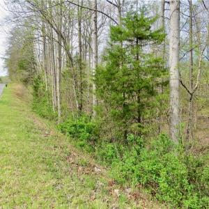 Photo #5 of Vernon, Reidsville, NC 230.0 acres