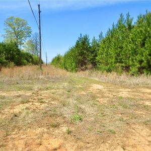 Photo #11 of Vernon, Reidsville, NC 230.0 acres