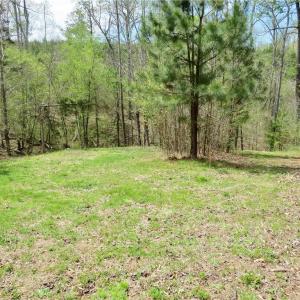 Photo #8 of Vernon, Reidsville, NC 230.0 acres